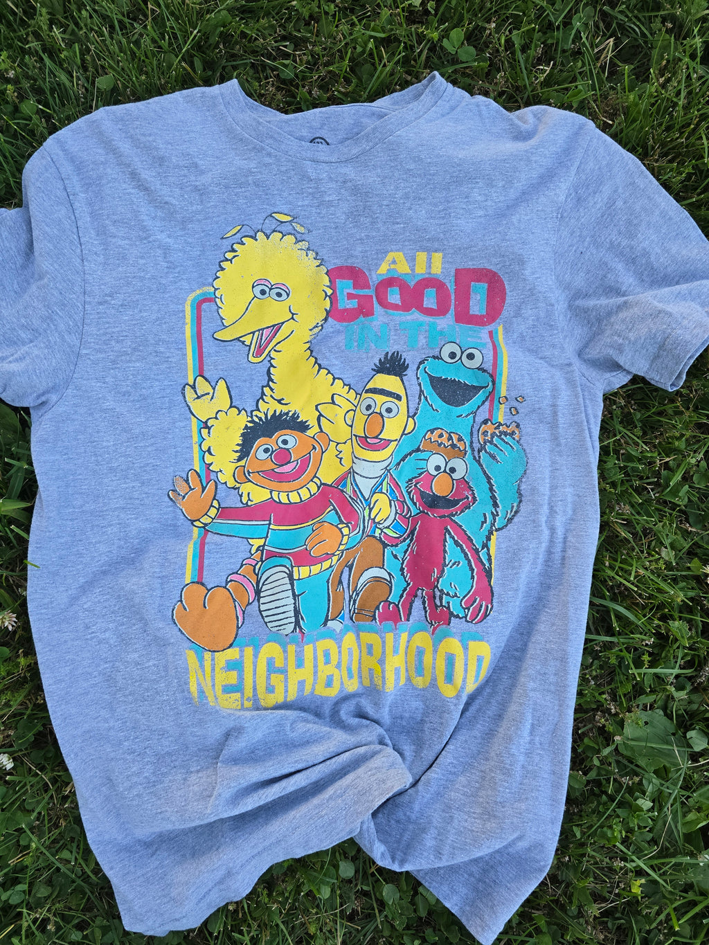 Sesame Street Tee (Med)