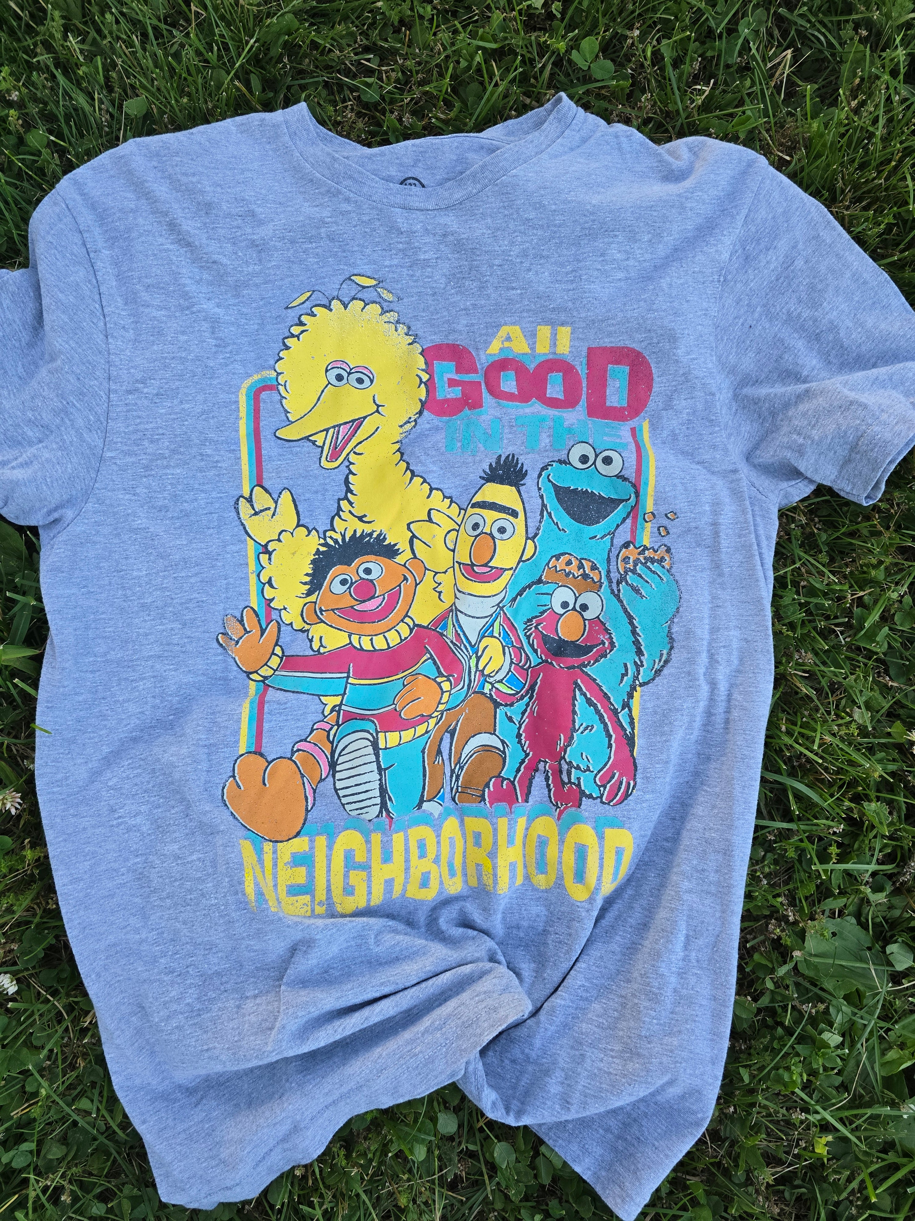 Sesame Street Tee (Med)