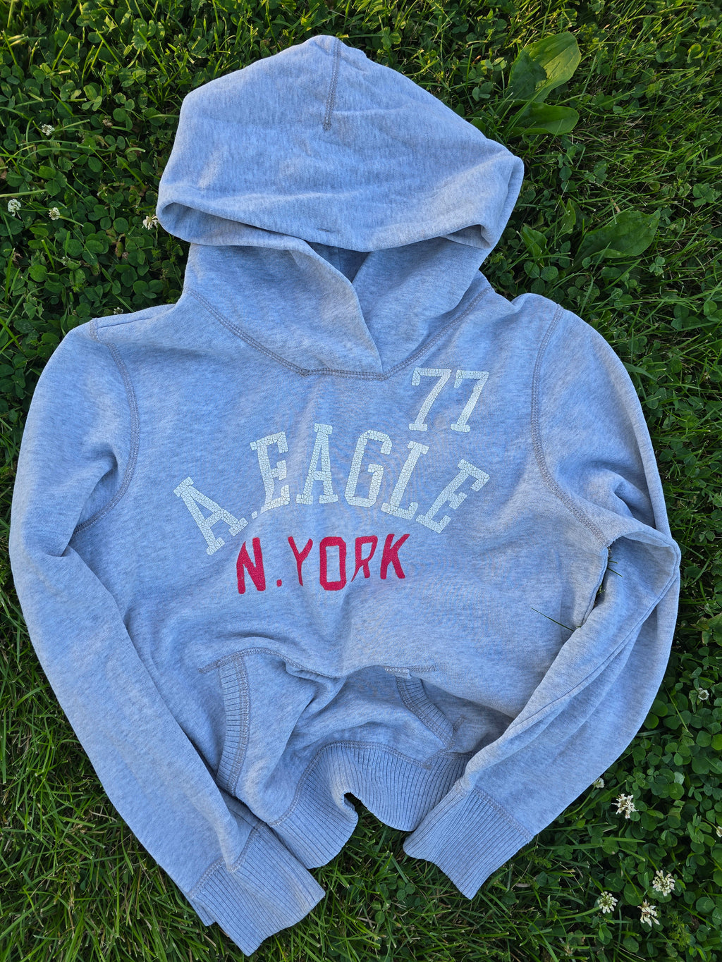 American Eagle Hoodie (XL)