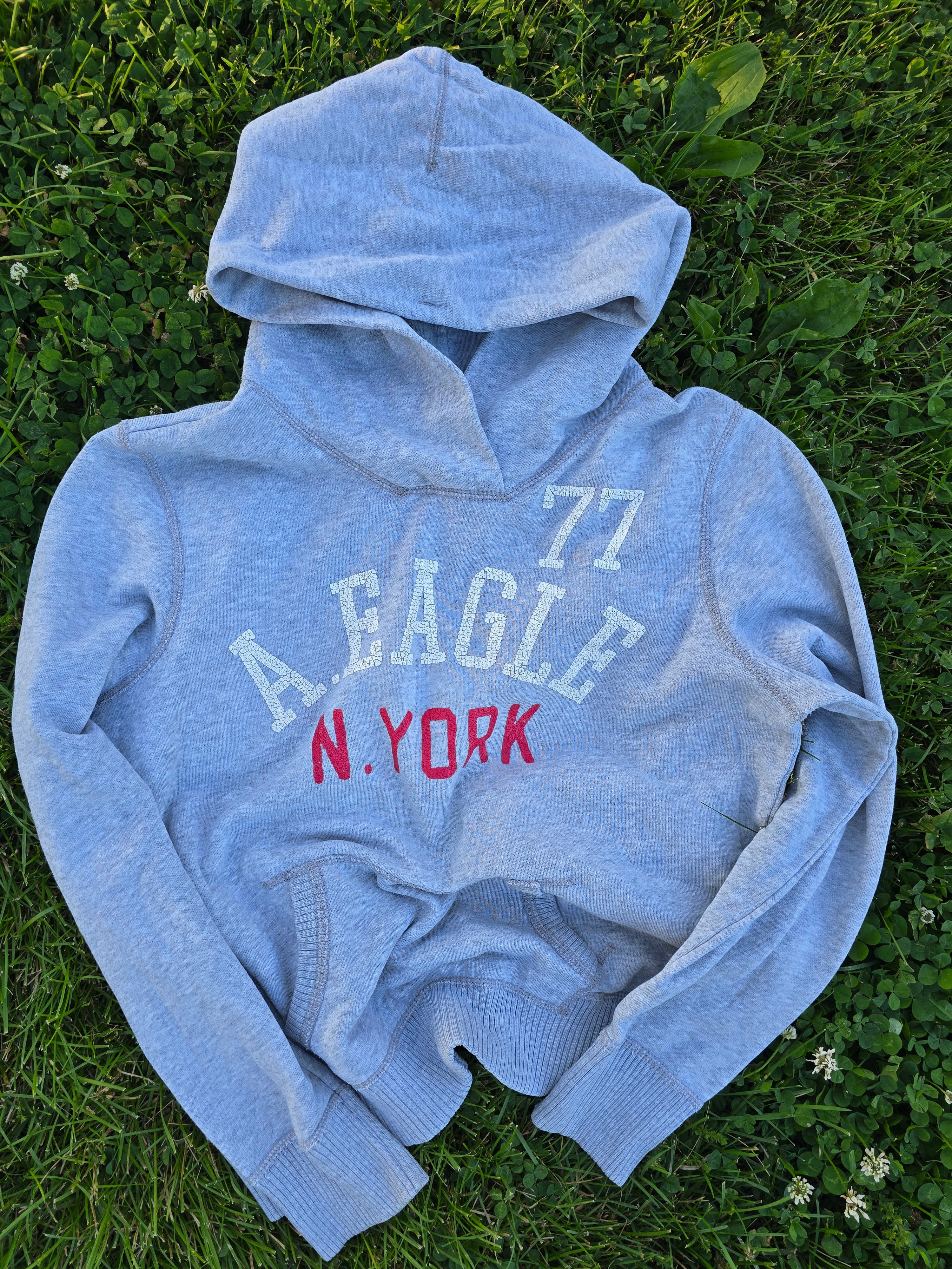 American Eagle Hoodie (XL)