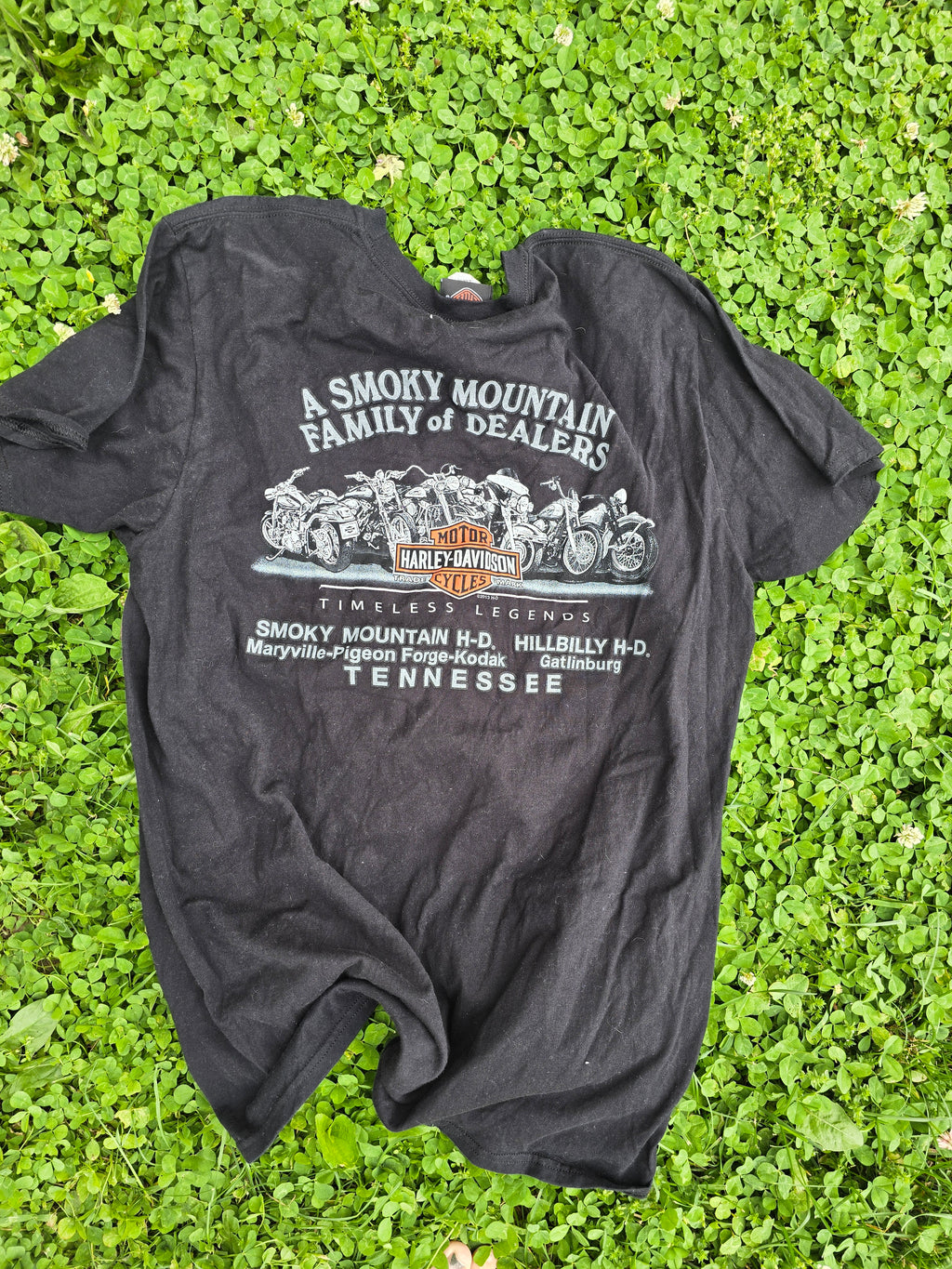 Harley Davidson Tee (Large)
