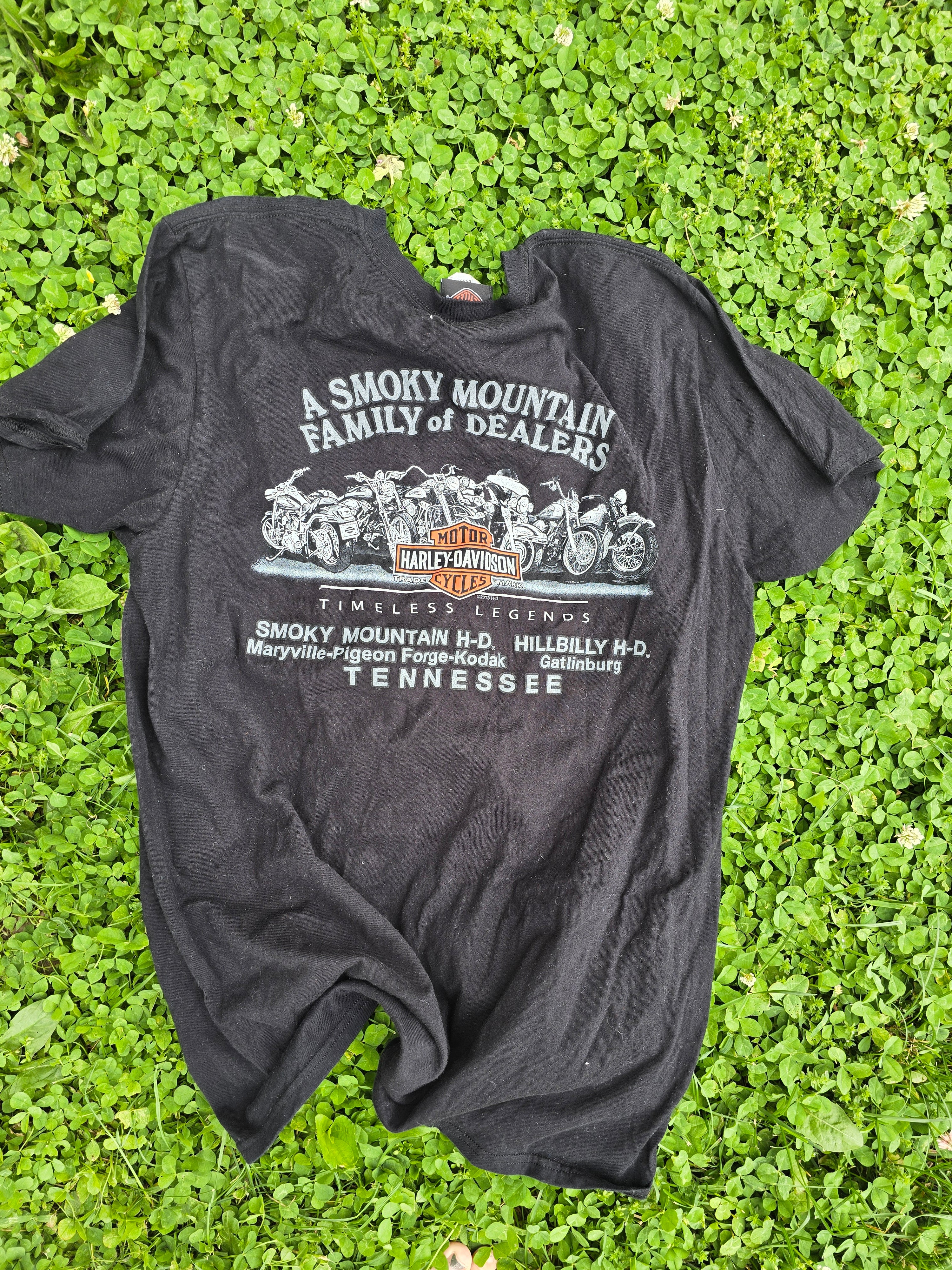 Harley Davidson Tee (Large)