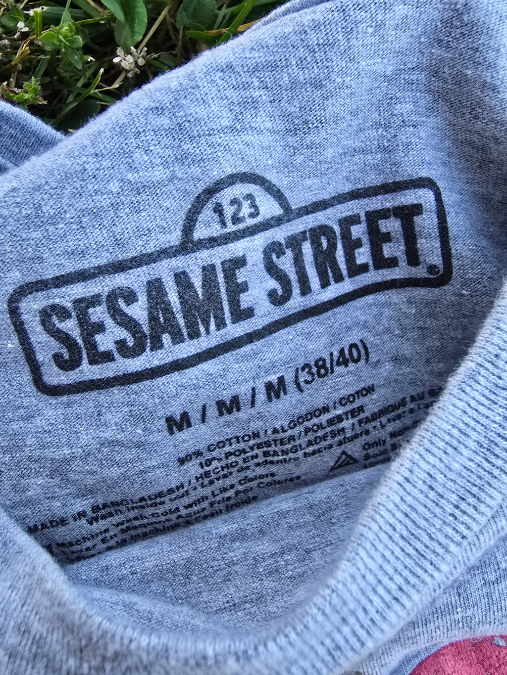 Sesame Street Tee (Med)
