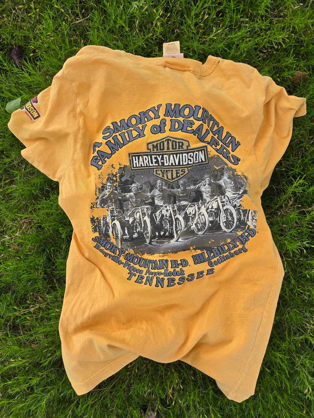 Harley Davidson Tee (Small)