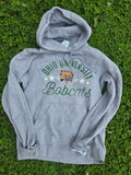 Ohio University Hoodie (Small)