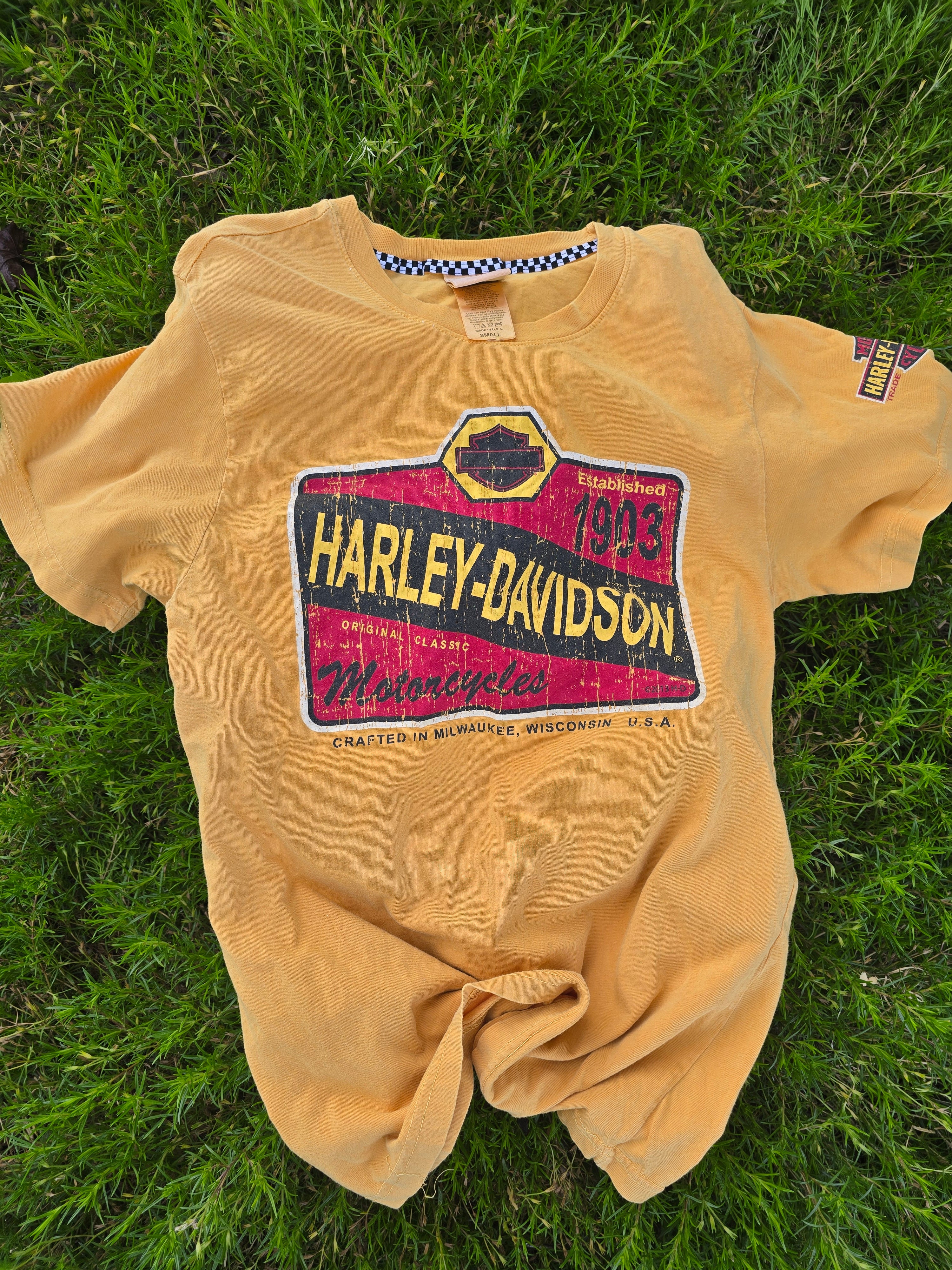 Harley Davidson Tee (Small)