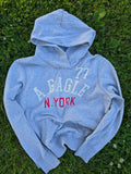 American Eagle Hoodie (XL)